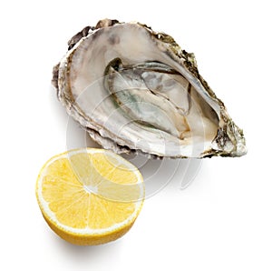 Fresh oyster and half of lemon