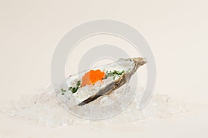 Fresh oyster in ice