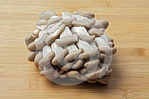 Fresh oyster mushroom clusters laid out on a natural bamboo cutting board
