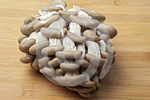 Fresh oyster mushroom clusters laid out on a natural bamboo cutting board