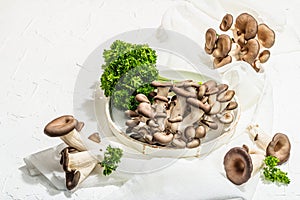 Fresh oyster mushrooms on a ceramic plate with parsley. Healthy ingredient for cooking vegan food