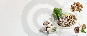 Fresh oyster mushrooms on a ceramic plate with parsley. Healthy ingredient for cooking vegan food