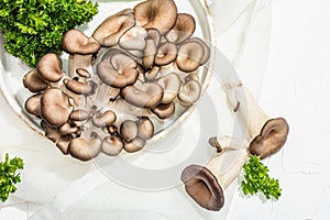 Fresh oyster mushrooms on a ceramic plate with parsley. Healthy ingredient for cooking vegan food