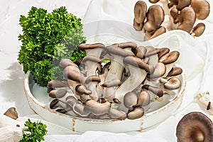 Fresh oyster mushrooms on a ceramic plate with parsley. Healthy ingredient for cooking vegan food