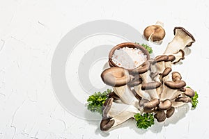 Fresh oyster mushrooms with parsley and sea salt. Healthy ingredient for cooking vegan food