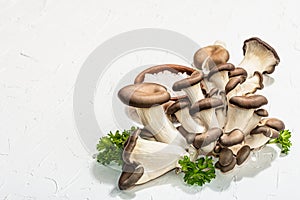 Fresh oyster mushrooms with parsley and sea salt. Healthy ingredient for cooking vegan food