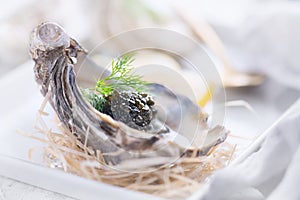 Fresh oysters with black caviar. Opened oysters with black sturgeon caviar. Gourmet food