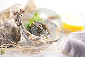 Fresh oysters with black caviar. Opened oysters with black sturgeon caviar and lemon, Gourmet food in restaurant. Delicatessen