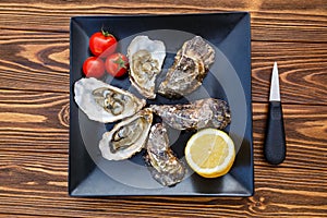 Fresh oysters on a black plate