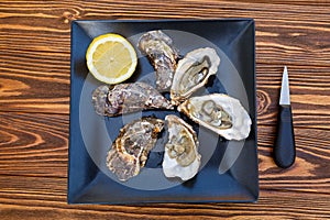 Fresh oysters on a black plate