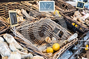 Fresh oysters in a box on the market