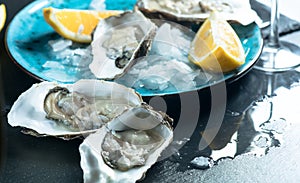 Fresh oysters close-up on blue plate, served table with oysters, lemon and champagne in restaurant