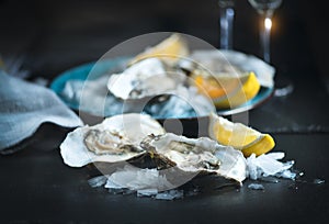 Fresh oysters close-up on blue plate, served table with oysters, lemon and champagne in restaurant