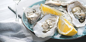 Fresh Oysters close up on blue plate, served table with oysters, lemon and ice. Healthy sea food. Fresh Oyster dinner