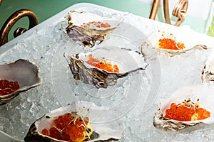 Fresh Oysters close-up on blue plate, served table with oysters, lemon and ice. Healthy sea food. Oyster dinner with