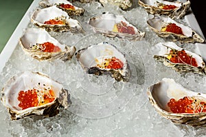 Fresh Oysters close-up on blue plate, served table with oysters, lemon and ice. Healthy sea food. Oyster dinner with