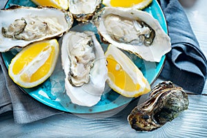 Fresh oysters close-up on blue plate, served table with oysters, lemon in restaurant