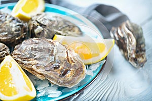 Fresh oysters close-up on blue plate, served table with oysters, lemon in restaurant