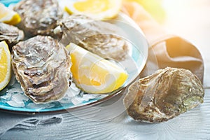 Fresh oysters close-up on blue plate, served table with oysters, lemon in restaurant