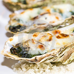 Fresh oysters close-up on a dish, served with oysters, lemon and ice. Healthy seafood. Oyster dinner with champagne in a