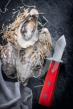 Fresh Oysters close-up with knife, served table with oysters and lemon. Healthy sea food. Oyster dinner in restaurant