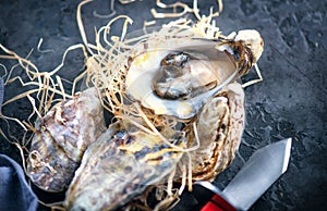Fresh Oysters close-up with knife, served table with oysters and lemon. Healthy sea food. Oyster dinner in restaurant