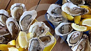 Fresh Oysters close-up rotating in blue plate, served table with oysters, lemon and ice. 4K Ultra high definition 3840X2160. Rotat