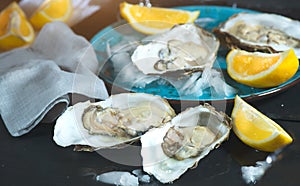 Fresh Oysters closeup on blue plate, served table with oysters, lemon and ice. Healthy sea food. Oyster dinner in restaurant