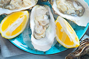 Fresh Oysters closeup on blue plate, served table with oysters, lemon and ice. Healthy sea food. Oyster dinner in restaurant