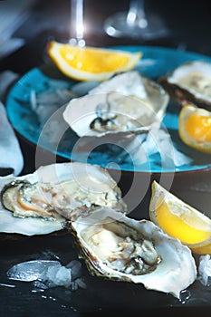 Fresh oysters closeup on blue plate, served table with oysters, lemon in restaurant