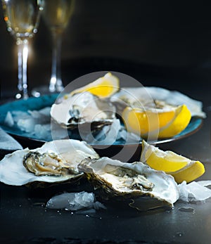 Fresh oysters closeup on blue plate, served table with oysters, lemon in restaurant