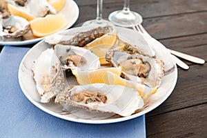 Fresh oysters with cut juicy lemon served