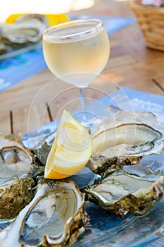 Fresh oysters and a glass of wine
