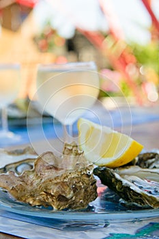 Fresh oysters and a glass of wine