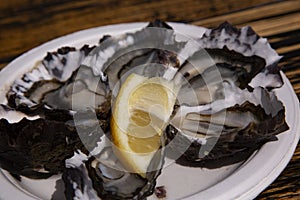Fresh oysters on the half shell with lemon slice