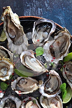 Fresh oysters with lime on a round plate. Oyster season. Seafood dish. Two varieties of oysters. Flat lay. Top view.