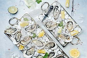 Fresh oysters on metal tray with lime, lemon and ice, banner, menu, recipe place for text, top view