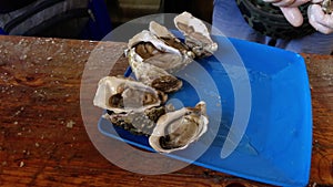 Fresh oysters opening at the fish market. Salesman hands holding an oyster and a knife for shucking. Seafood, typical food in coas
