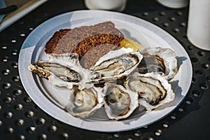 Fresh oysters and piece of dark bread in plate close-up, selective focus. Gastronomic delicacies, real scene in market
