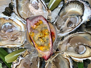 Fresh Oysters Plate 2