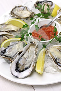 Fresh oysters plate