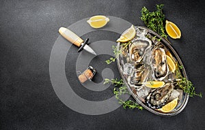fresh oysters on plate with lemon on a dark background. Seafood. banner, menu, recipe place for text, top view