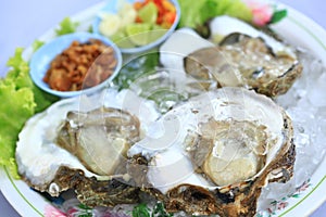 Fresh oysters on a plate to serve customers in the restaurant