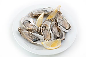 Fresh oysters. Raw fresh oysters on white round plate, image isolated. Restaurant delicacy. Saltwater oysters