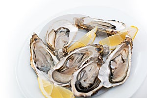 Fresh oysters. Raw fresh oysters on white round plate, image isolated, with soft focus. Restaurant delicacy.