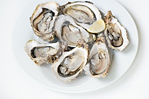 Fresh oysters. Raw fresh oysters are on white round plate, image isolated, with soft focus. Restaurant delicacy.