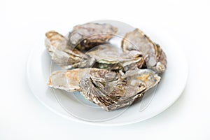 Fresh oysters. Raw fresh oysters on white round plate, image isolated, with soft focus. Restaurant delicacy.