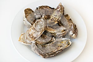 Fresh oysters. Raw fresh oysters on white round plate, image isolated, with soft focus. Restaurant delicacy.