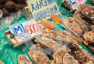 Fresh oysters on sale at Kuromon Ichiba Market in Osaka, Japan