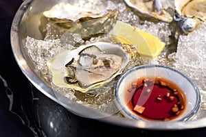 Fresh oysters with sauce bowl and lemon on ice